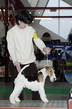 gal/Expo janvier 2005/DSC_4376.jpg